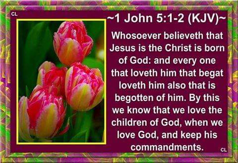 FB_IMG_1572491509595