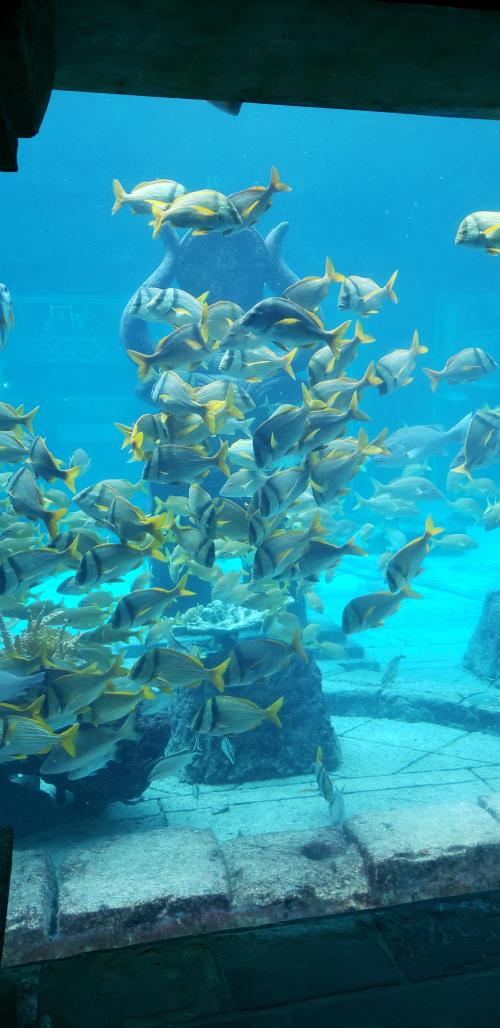 10:27:59 GMT-0500 (EST)