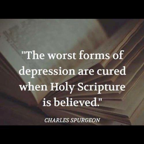 2018-09-05 10.32.42 1861780586115271923_5403409862