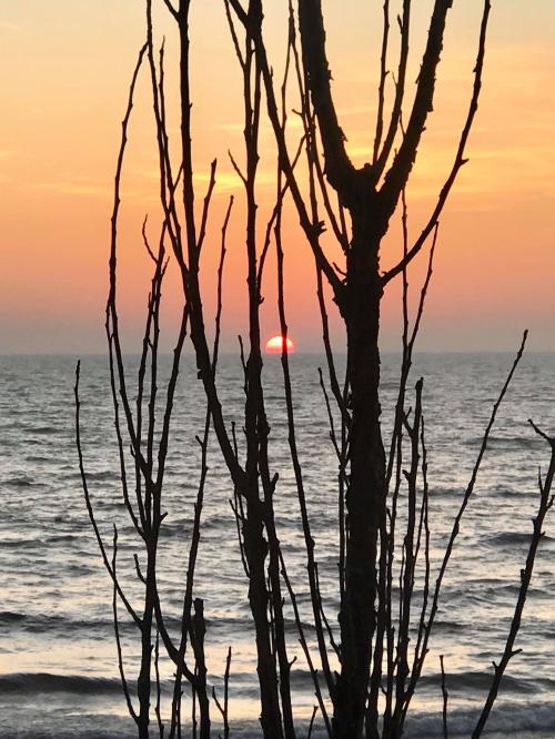 13:59:13 GMT-0500 (EST).image