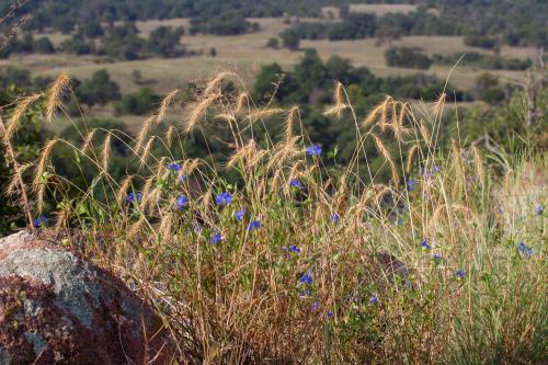 06:07:08 GMT-0600 (CST).image