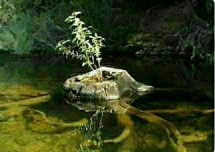 18:10:11 GMT-0800 (PST)