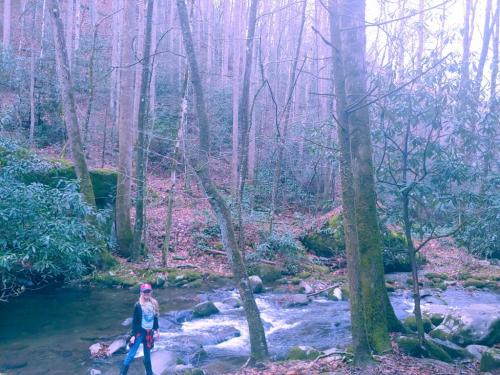 12:38:14 GMT-0500 (EST)