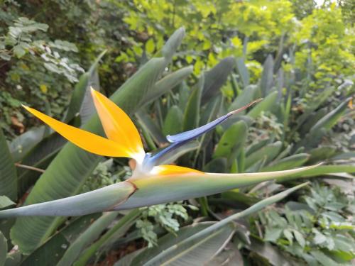 15:30:07 GMT-0800 (PST)