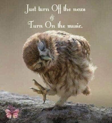 16:46:54 GMT-0600 (CST).image