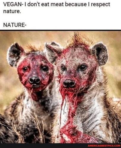 20:53:46 GMT-0600 (CST).image