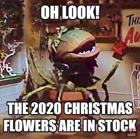 2020_Christmas_Flowers