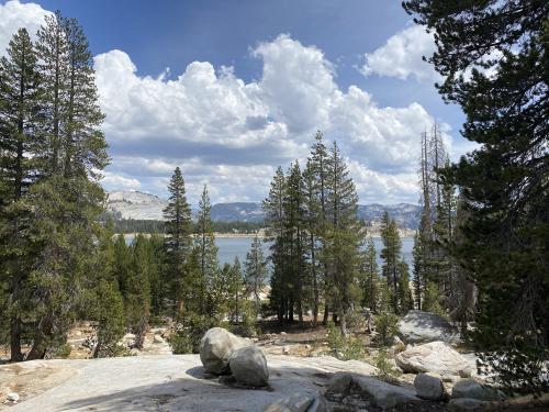 20:31:01 GMT-0800 (PST).image