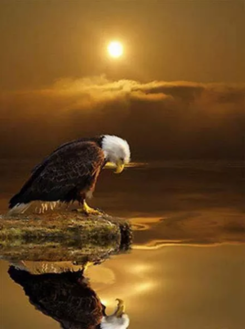 17:52:11 GMT-0500 (EST)