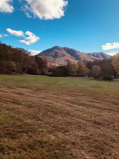 10:02:37 GMT-0500 (EST).image