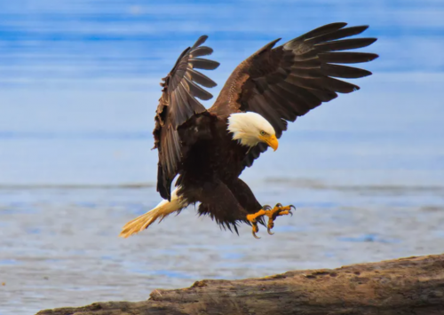 09:03:47 GMT-0500 (EST).png