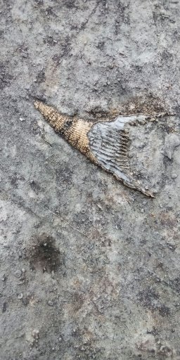 21:09:37 GMT-0600 (CST)