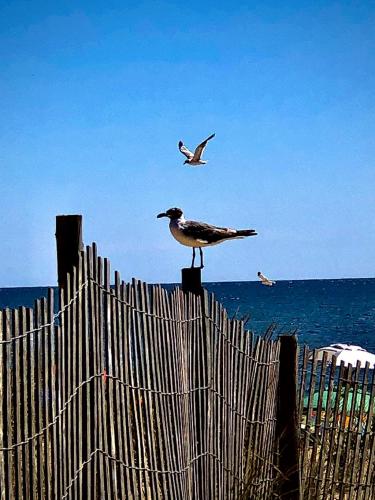 10:46:33 GMT-0500 (EST).image