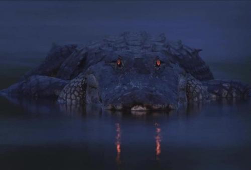 15:56:06 GMT-0500 (EST).image