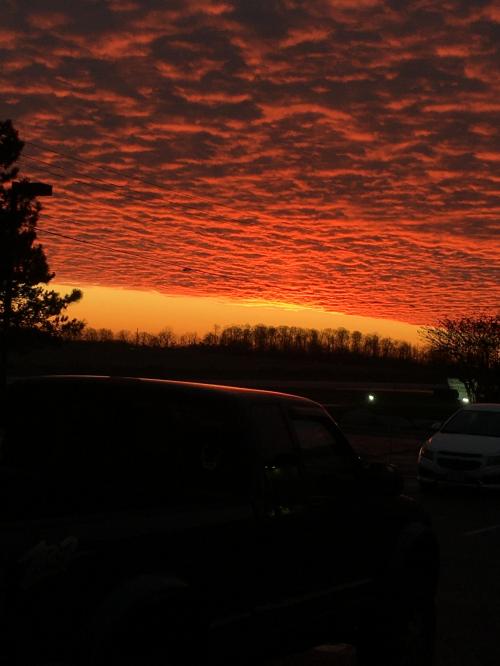 11:46:55 GMT-0500 (EST).image