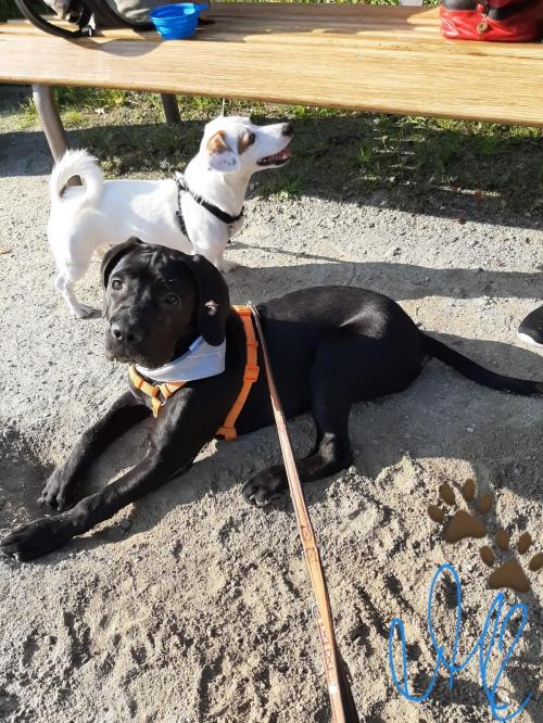 C05CDBFF-467B-40E2-9019-DFC4DD769BA0