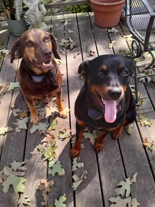 12:32:09 GMT-0600 (CST)