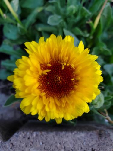 15:18:05 GMT-0800 (PST)