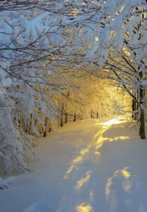 10:00:37 GMT+0100 (WAT).image