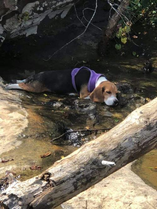 10:51:02 GMT-0600 (CST)