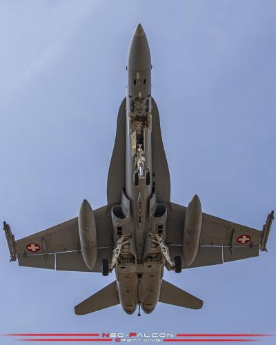 128115693_3646567865400306_440574523643409781_o