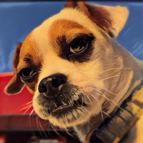 18:44:31 GMT-0600 (CST).image