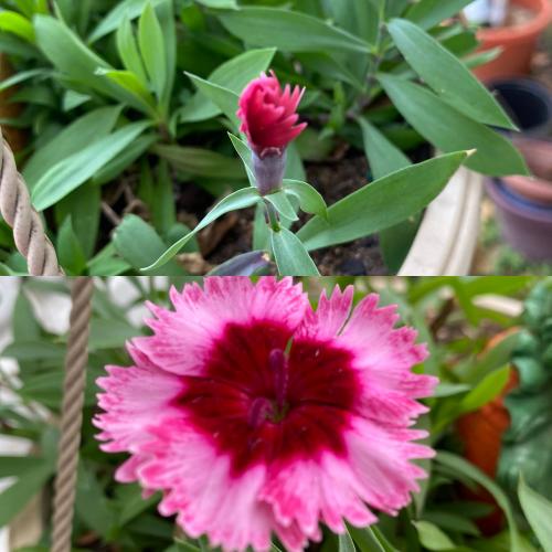 21:51:35 GMT-0500 (EST).image