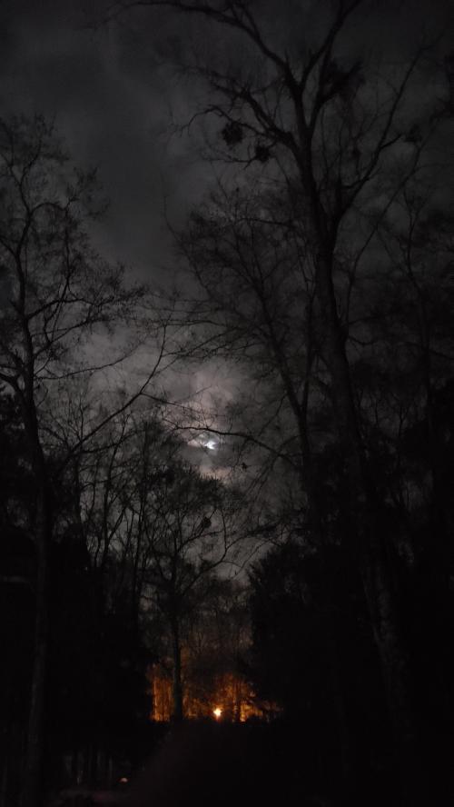 16:17:59 GMT-0600 (CST)