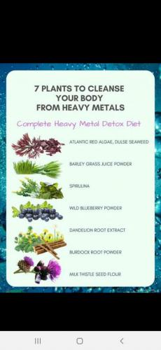 18:46:20 GMT-0500 (EST)