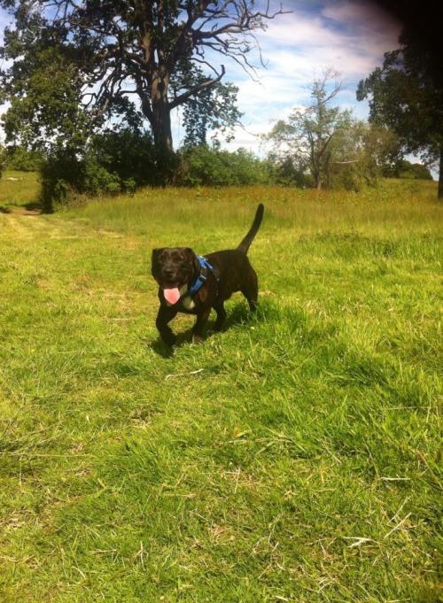 01:23:15 GMT+0000 (GMT).image