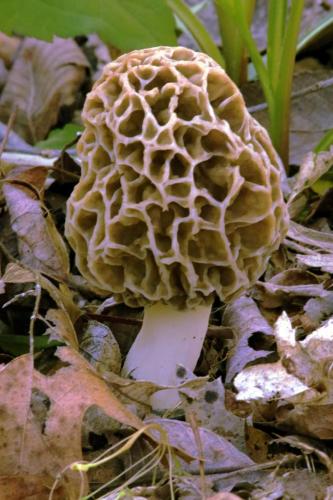 09:58:05 GMT-0600 (CST)