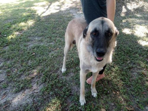 01:45:09 GMT-0600 (CST)