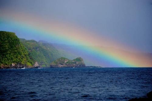 08:50:13 GMT-0500 (EST).image