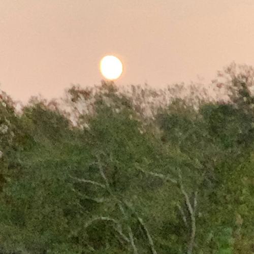 07:36:07 GMT-0500 (EST).image