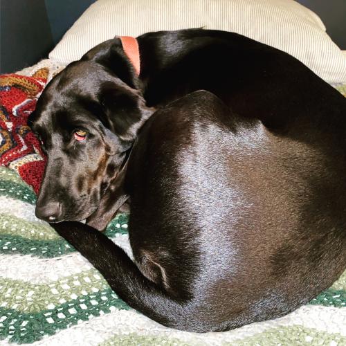 21:41:23 GMT-0600 (CST).image