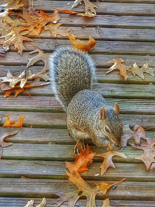 12:39:54 GMT-0600 (CST)