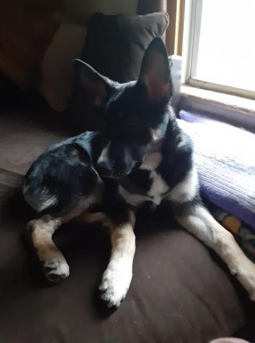 125192920_5364203540272178_4396967535177242708_o