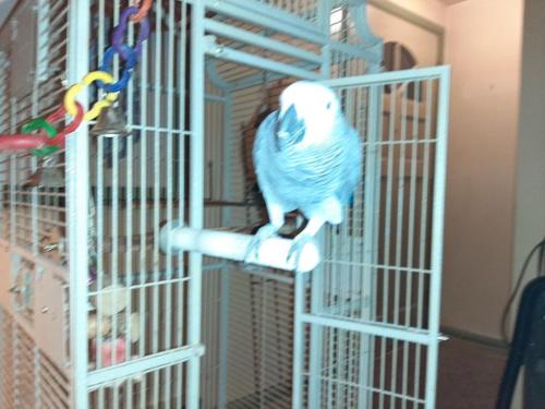 20:44:07 GMT-0500 (EST)