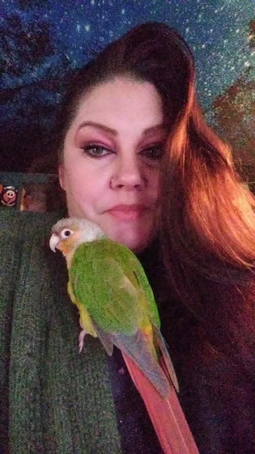 18:35:32 GMT-0700 (MST)