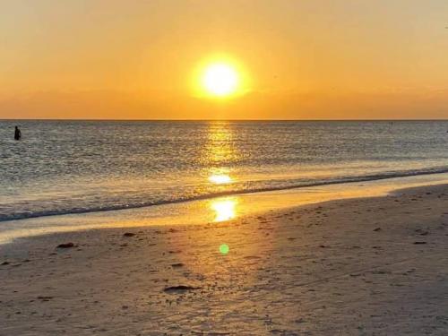 19:12:36 GMT-0500 (EST)