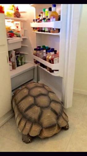 16:14:31 GMT-0600 (CST)