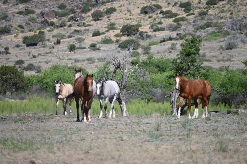 19:41:39 GMT-0600 (CST).image