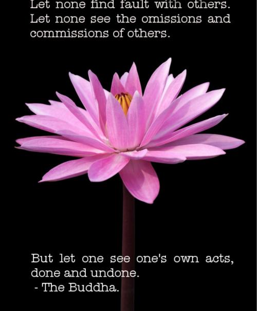 inbound6587463129989771968