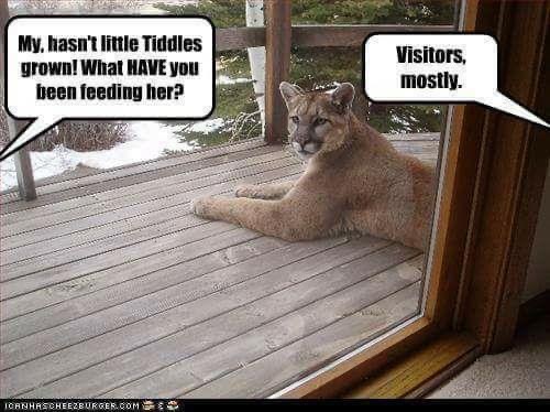 C82F431B-3AB2-4EBD-9EB3-8B2737AFB99B