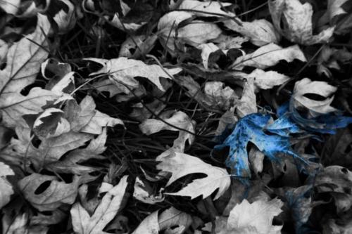 23:43:27 GMT-0600 (CST)