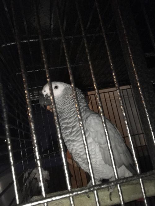 17:44:31 GMT-0500 (EST)