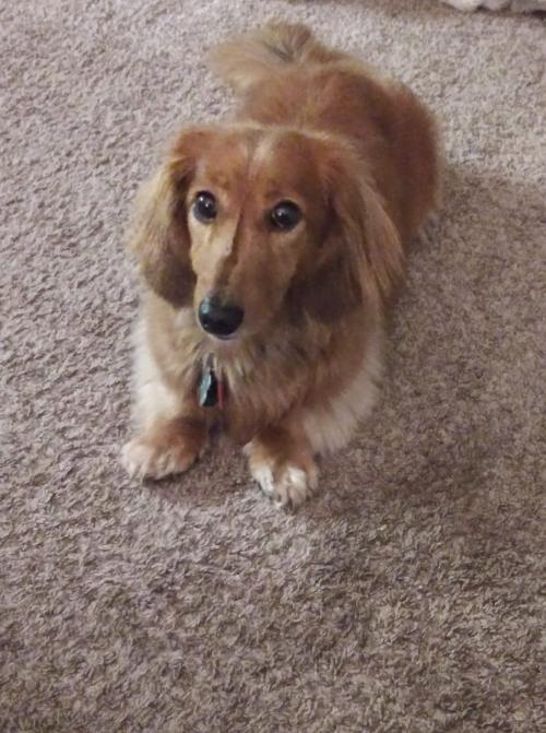 123248184_10215311370812222_7440047963260005337_o