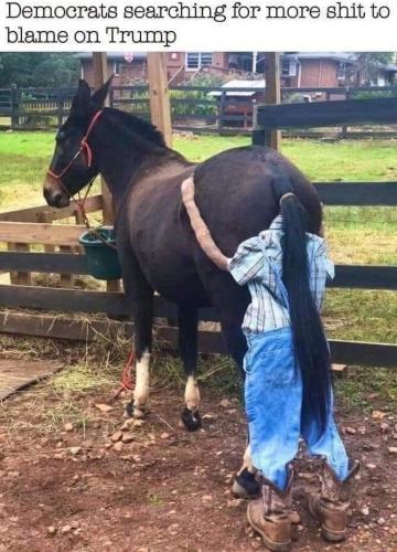 940397C2-D152-473C-A064-B9F569EA8AA3-14534-000009BE283054BA