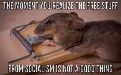 zsocialism59