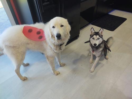 21:44:30 GMT-0500 (EST)